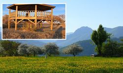 Kastamonu'da Ballıdağ Ormanları ekoturizm yatırımlarıyla yeniden canlanacak