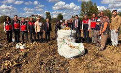 Devrekani’de patates hasadı başladı: Üreticiler tarlada buluştu