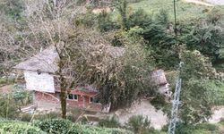 Fırtına ortalığı birbirine kattı! Ağaçlar devrildi