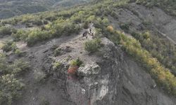 Kastamonu’da herkes onu arıyordu: Sevindiren haber geldi