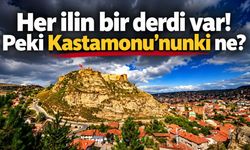 Her ilin bir derdi var! Peki Kastamonu'nunki ne?