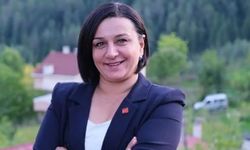 Yeni Parti Kastamonu’da kongreye gidiyor: Karabacak yeniden aday
