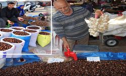Bu sene Kastamonu'da herkes kestane yiyecek