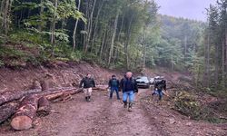 Kastamonu'da yeni orman yolu hizmete girdi