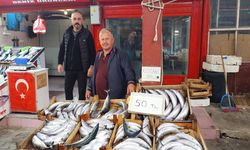 Balık severler müjde: Kastamonu’da palamut 50 Lira