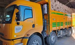 Kastamonu'da 200 üreticiden 100 tonu aşkın fındık alındı