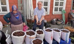 Kastamonu'da sevindiren kestane haberi