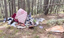 Kastamonu'da çirkin görüntü: Sorumlular cezalandırılsın!