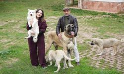 Kastamonu'da köpek sevgisi genç kadını markalı iş sahibi yaptı
