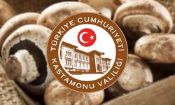 Kastamonu Valiliği uyardı: Ormana gidecekler dikkat!