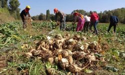 Kastamonu Yeni Parti'den pancar üreticisine destek çağrısı