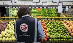 Kastamonu'da 126 işletmeye denetim! 11 bin 394 ürün incelendi