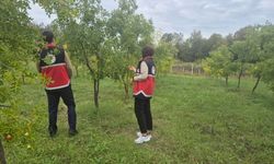Kastamonu’da alternatif tarımın yeni gözdesi incelendi