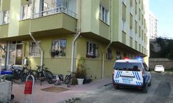 Kastamonu'da fincan takımı tuzağı! Son anda kurtuldu