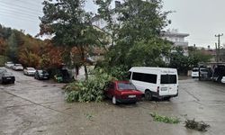 Kastamonu'da fırtına hayatı felç etti! Çatılar uçtu, ağaçlar devrildi