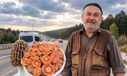 Kastamonu’da hafta sonu bereketi! Mantar peşine düştüler