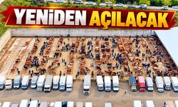 Kastamonu'da üreticilere müjde! Hayvan Pazarı yeniden açılıyor