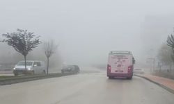 Kastamonu'da göz gözü görmüyor: Sis çöktü!