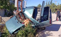 Kediden kaçarken direğe çarptı! Otomobil ikiye ayrıldı