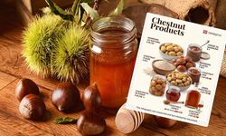 TasteAtlas’ın kestane listesinde Türkiye de var: Kastamonu'da da üretilen kestane balı dikkat çekti