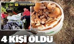 Son dakika: Mantar dönüşü facia! 4 ölü, 1 yaralı