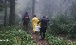Mantar toplamak için ormana gittiler! Saatler sonra bulundular
