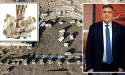 Kastamonu için ortak kalkınma hamlesi: Taşköprü sarımsağı ve Pompeiopolis ön planda