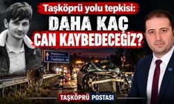 Göksu: 'Taşköprü yolunda daha kaç can kaybedeceğiz?'