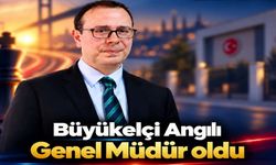 Kastamonulu diplomat genel müdür oldu!