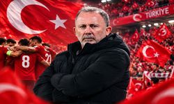 A Milli Takım'ın yeni teknik direktörü belli oldu