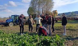 Kastamonu'nun topraklarında hasat heyecanı!