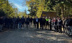Son dakika: Kastamonu'da mantar toplamaya gitti, ekipleri harekete geçirdi!
