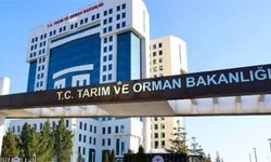 Tarım ve Orman Bakanlığı personel alacak! Başvuru şartları belli oldu
