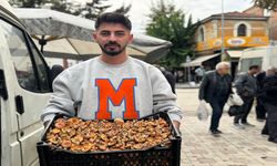 Taşköprü’de kanlıca mantarı bereketi: Kilosu 150 TL’den satılıyor