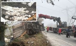 Tavuk yüklü kamyon devrildi: 4 yaralı, onlarca tavuk telef oldu