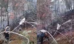 Tosya’da orman yangını: Ekipler sevk edildi!