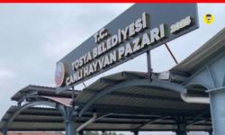 Tosya'da şap tedbiri: Hayvan pazarında faaliyetler durdu