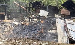 Yangın ahırı küle çevirdi! 34 hayvan telef oldu