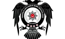Kastamonu'da PKK/KCK bağlantılı 1 şahıs yakalandı