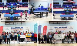 Yıldızlar Masa Tenisi Türkiye Birinciliği Kastamonu'da yapıldı