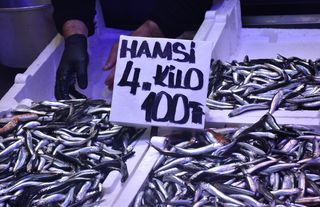 Kastamonulular kilosunu 80 liraya, onlar 4 kilosunu 100 liraya yiyor!