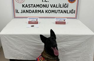 Kastamonu’da 7 kişi uyuşturucu ile yakalandı