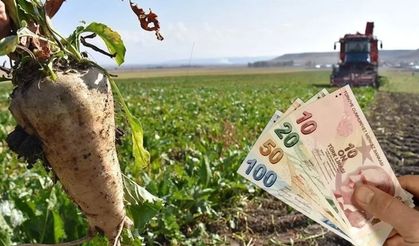 Kastamonulu Bakandan, pancar çiftçisine müjde: Hesaplara aktarıldı