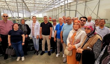 Kastamonulu çiftçiler Antalya’da seracılık uygulamalarını yerinde gördü