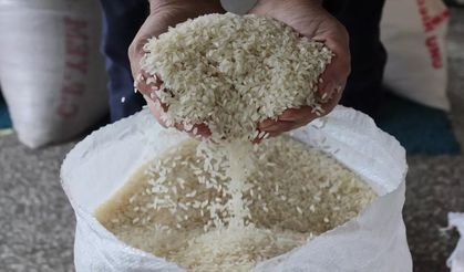 Tosya Pirinci Türkiye’nin 81 İline Ulaştı