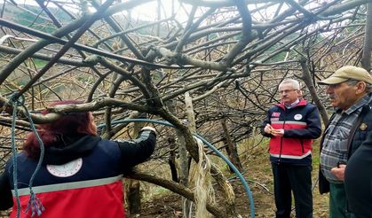 Kastamonu’da İlçe Tarım'dan Üreticiye Yerinde Destek