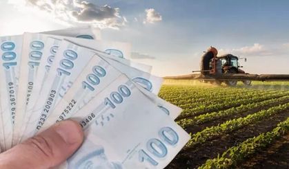 Kastamonu'da 425 milyon TL destek hesaplara yatacak