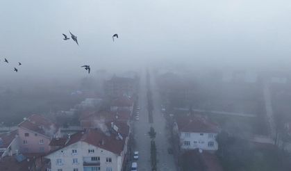 Kastamonu'da yoğun sis etkili oldu: Görüş mesafesi 30 metreye kadar düştü