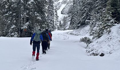 Kastamonu'da kar yağışının beyaza bürüdüğü dağ ilgi görüyor
