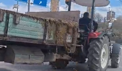 Kastamonu'da rezalet görüntü: Sürücüler tepki gösterdi